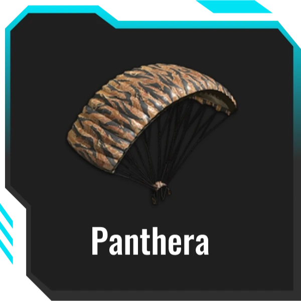 Skin Tool